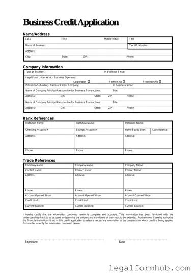 Fill Your Business Credit Application Form